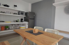 Gris Departamento 33 M2